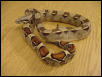 col boa coiled female1