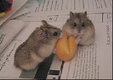 Sharing a Fortune