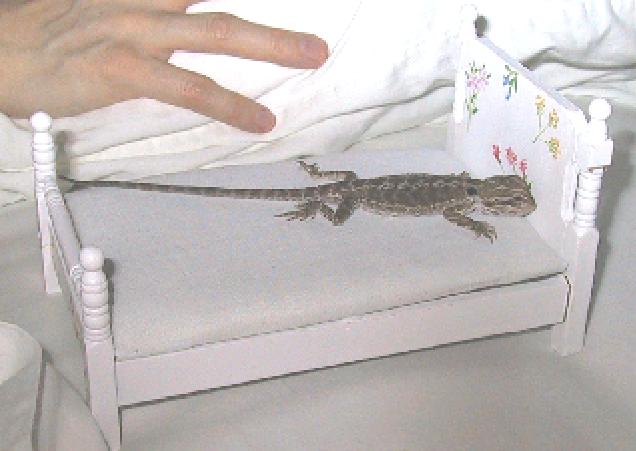 Oscar thinks she's human (pic)!