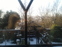 Squirrel and snow Dec 2009