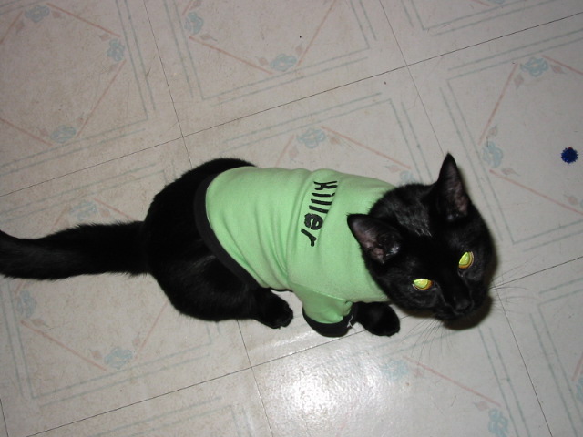 Killer !  Wear ?