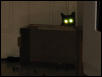 I am watching your every move!