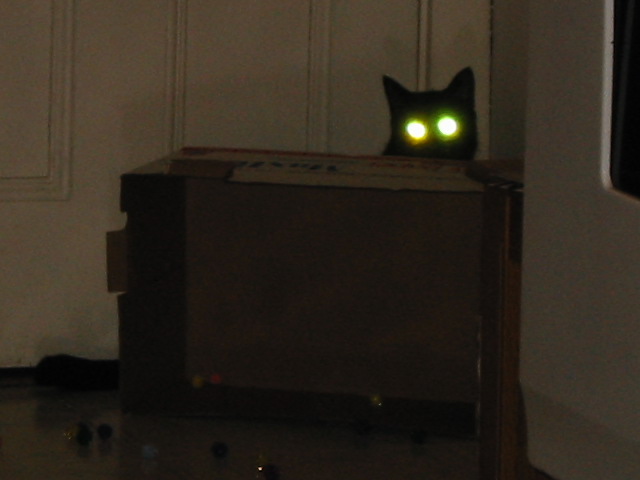 I am watching your every move!