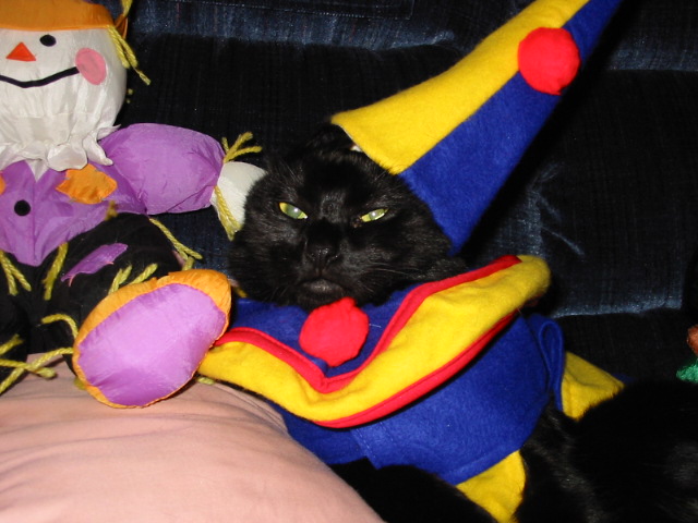 Clowning around !