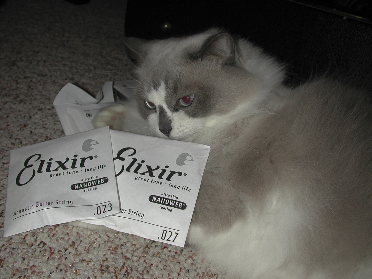 Misty  Mew Changing Strings