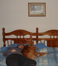 Napping buddy, Trip