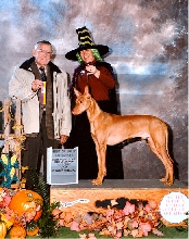 Happy Halloween