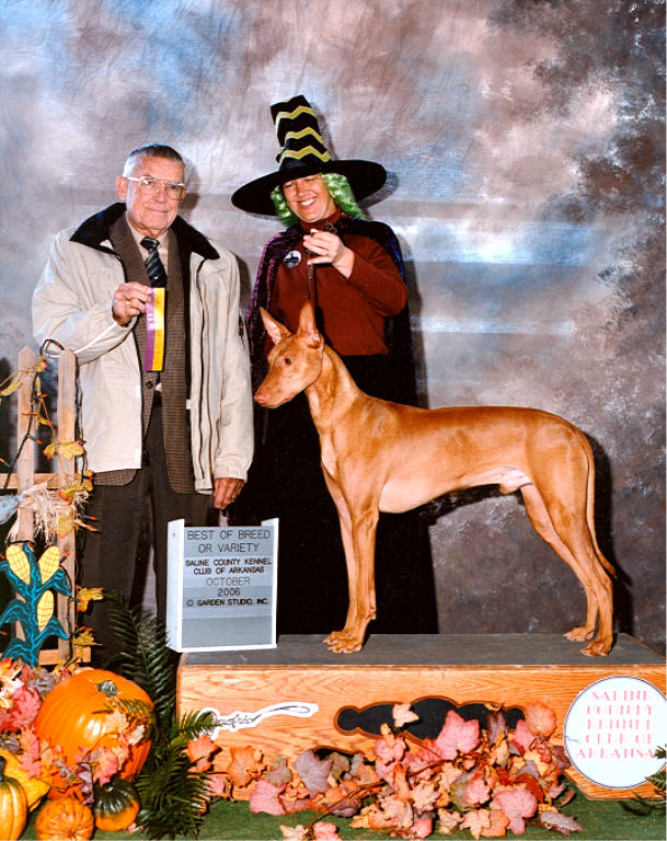 Happy Halloween