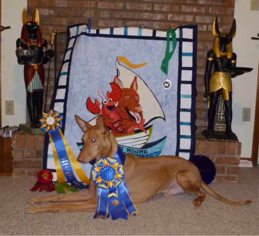 Triathalon 2010 winner - TRIP