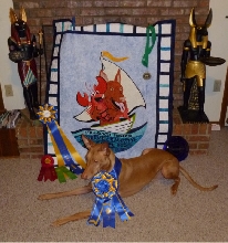 TRIP 2010 Triathalon Winner