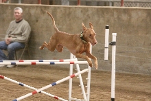 Trip over the finish line