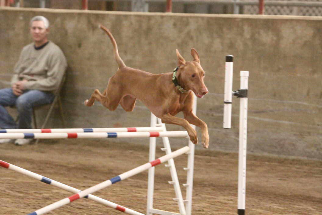 Trip over the finish line