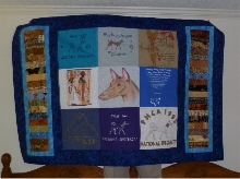 T-shirt quilt