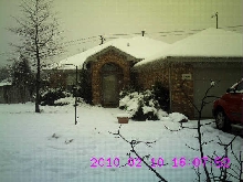 Snow 2010