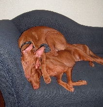 DeeDee & Jack