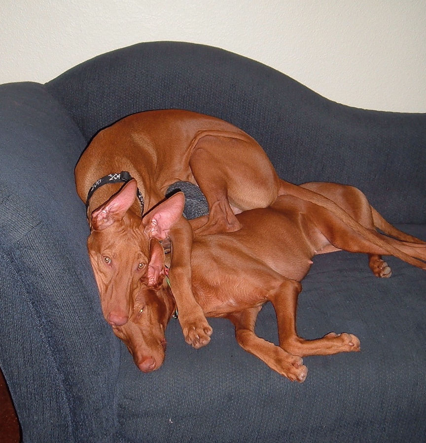 DeeDee & Jack