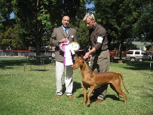 Jack's UKC BIS