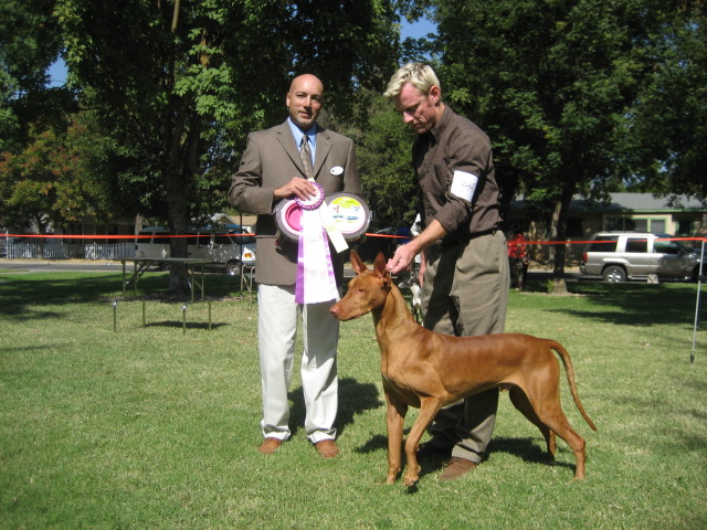 Jack's UKC BIS