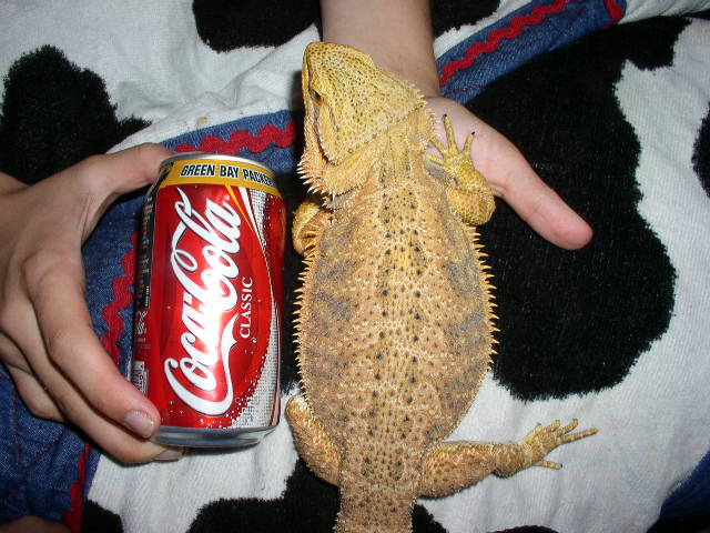 zilla monster