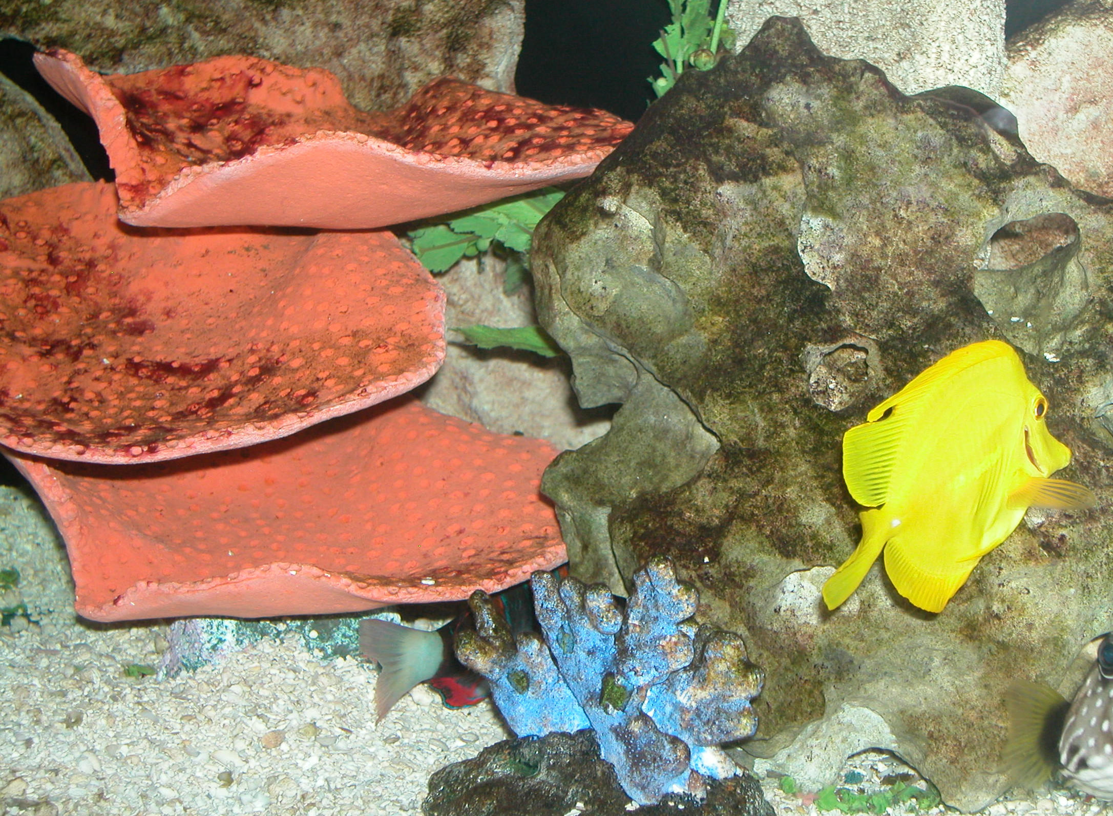 Saltwater Photos