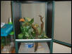 screen cage for crested