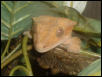 what a face . . .