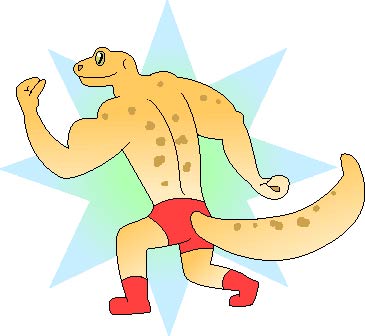 powergeckos