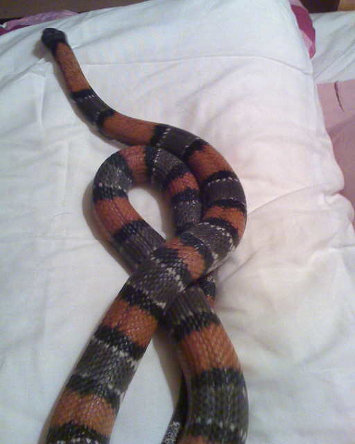 Elvis-picture 3