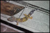 cb leopard