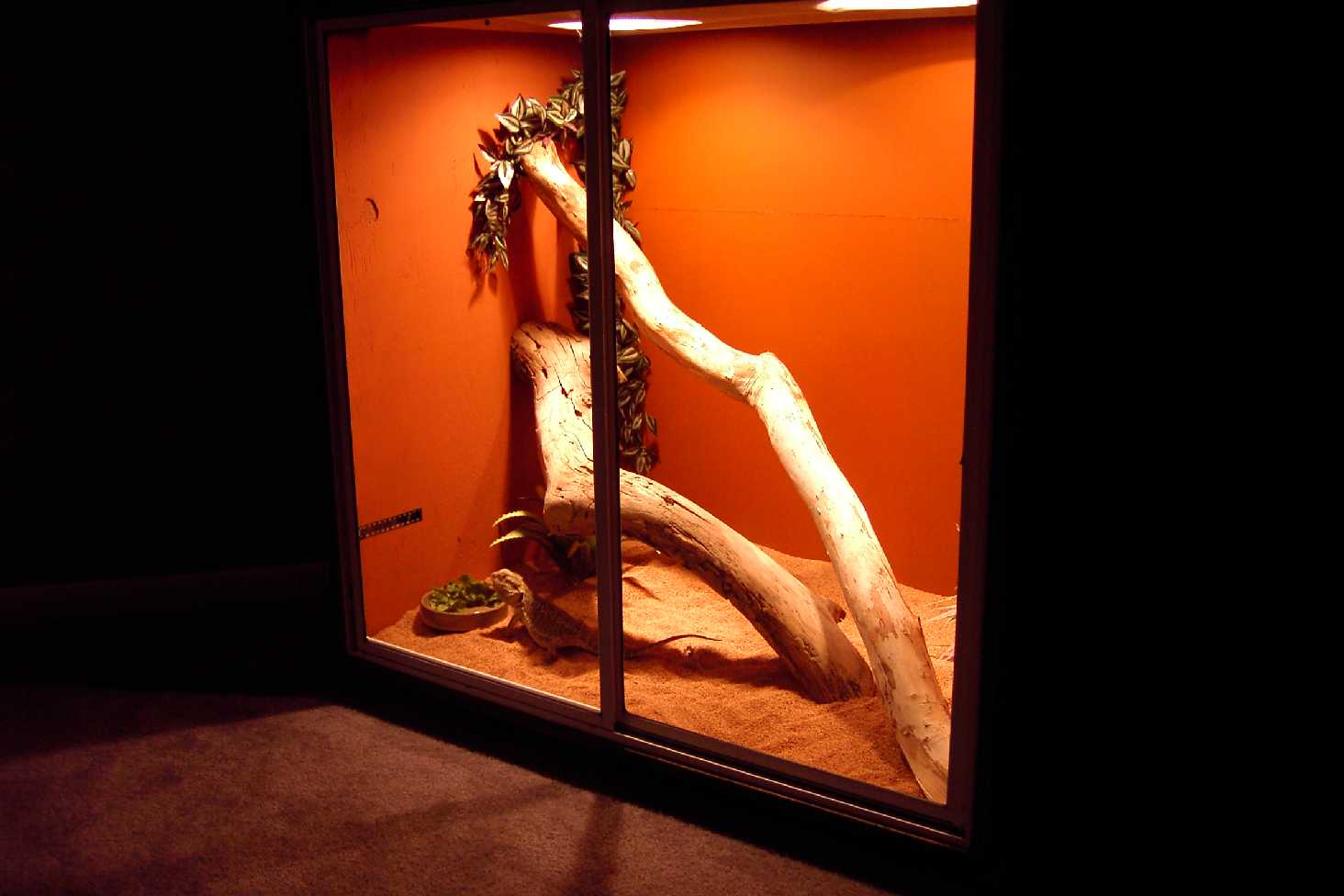 Actual inside