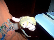 son w/his crested