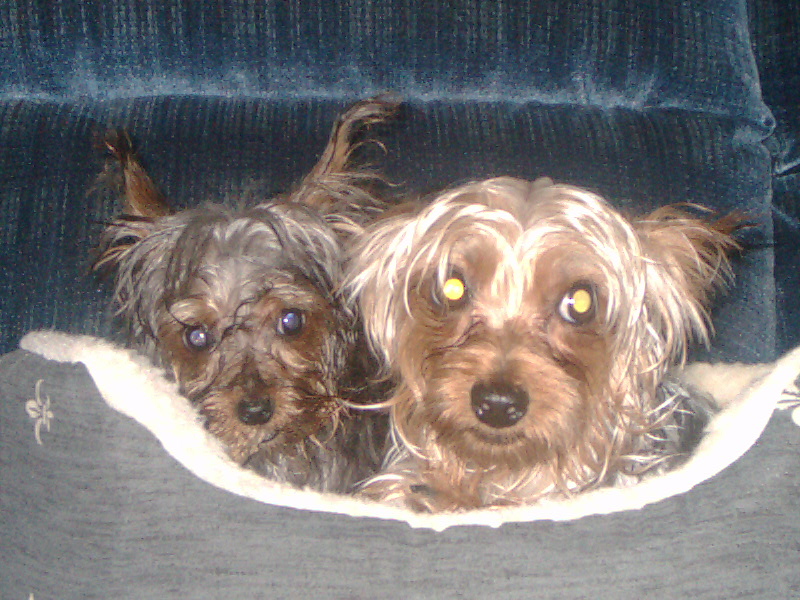 JayDee Jr. with his little puppy friend, Precious.
