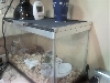 aquarium mod