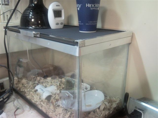 aquarium mod