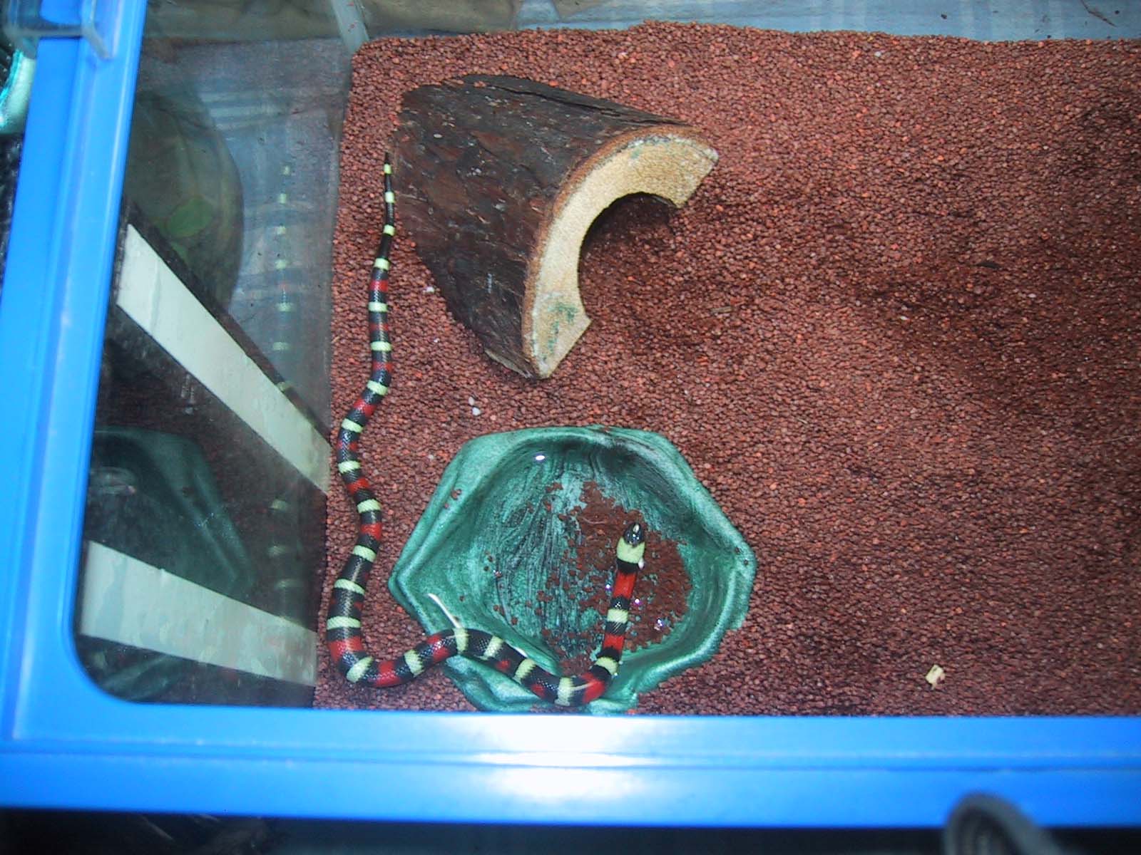 That mouse was nice