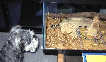 Freida & Squeezie