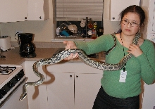 Freyja and Me