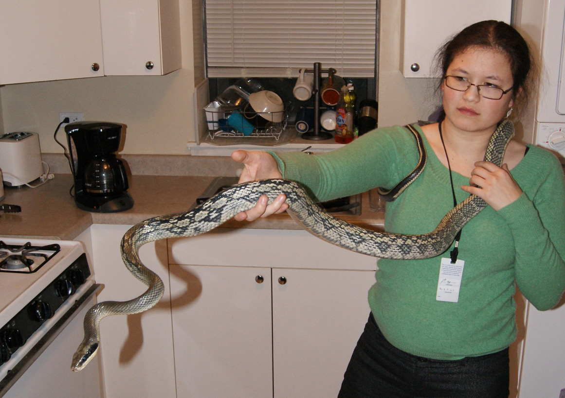 Freyja and Me