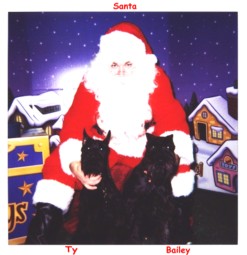 Santa and the Schnauzers