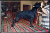 Ty, aged 5 months