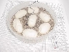eggs wflash.jpg