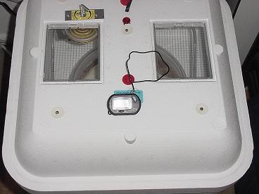 incubator.JPG