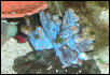 Saltwater Photos