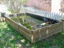 Wood framed pond enclosure