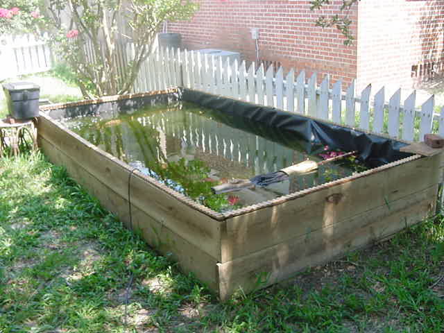 Wood framed pond enclosure