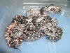 hypo lav and lav babies