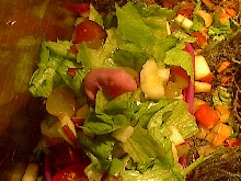 Alice's pinky salad