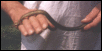 Very Rare Baxter Snake