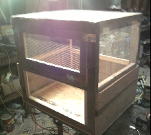 chameleon cage