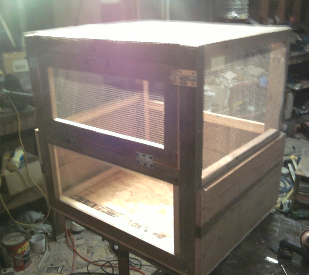 chameleon cage